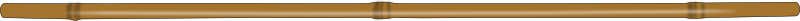 baston-tzk