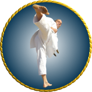karate - yokogeri